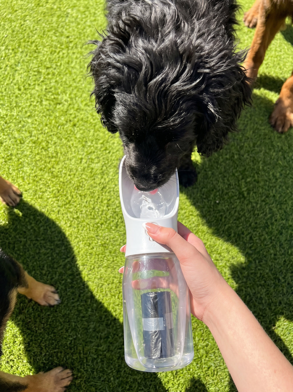 PawFixA’s Special Portable Dog Water Bottle 3-in-1 Dog Travel Water Bowl with Food Container & Poop Bag Holder Pet Water Dispenser Summer Outdoor Walking Hiking Accessories for Large Dog - Gray 20oz