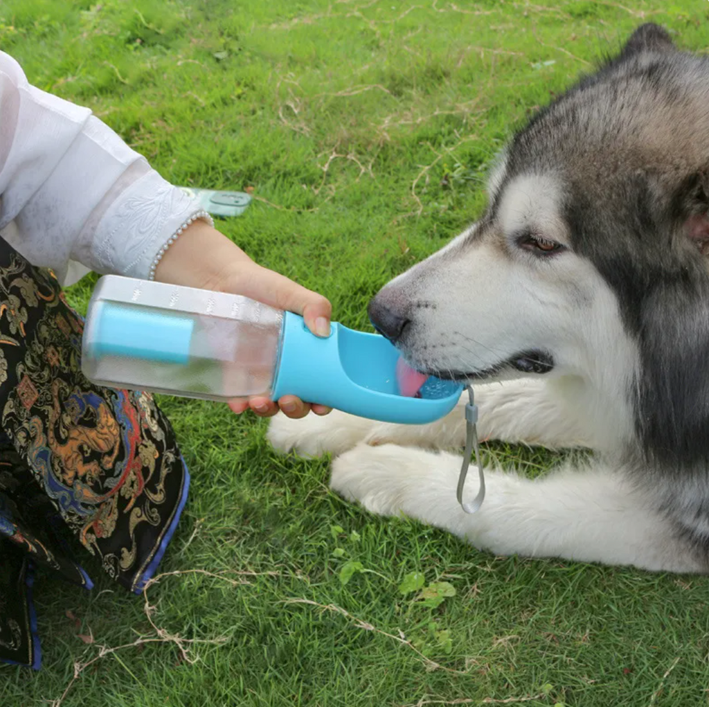 PawFix’s Premium 3-in-1 Pet Water & Food Bottle with Waste Bag Holder